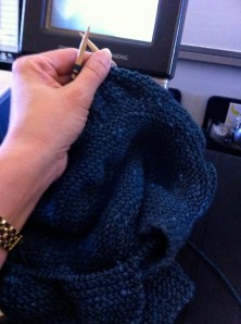 Schieffelin Point Shawl