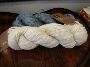 Fyberspates Scrumptious Aran