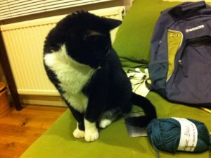 Gertie and Debbie Bliss